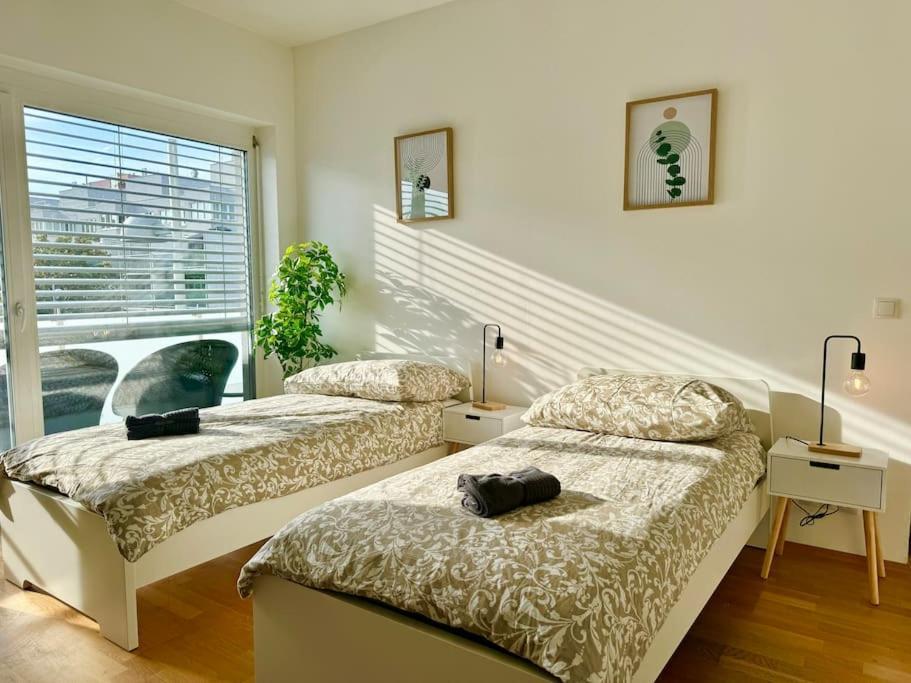 Apartment 130 M2 4 Bedroom With Balcony & Free Parking Wien