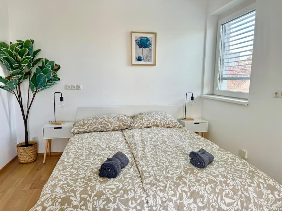 130 M2 4 Bedroom With Balcony & Free Parking Apartment